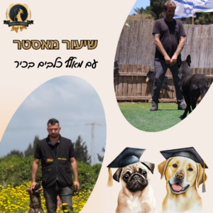 שיעור מאסטר עם מאלף כלבים בכיר