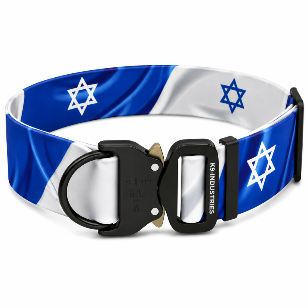 קולר ביאוטן 50 מ״מ רחב במיוחד עם הדפס דגל ישראל לגזעי עבודה