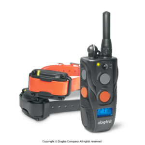 ערכת אילוף אלחוטית זוגית Dogtra 642C – שליטה על שני כלבים בו-זמנית