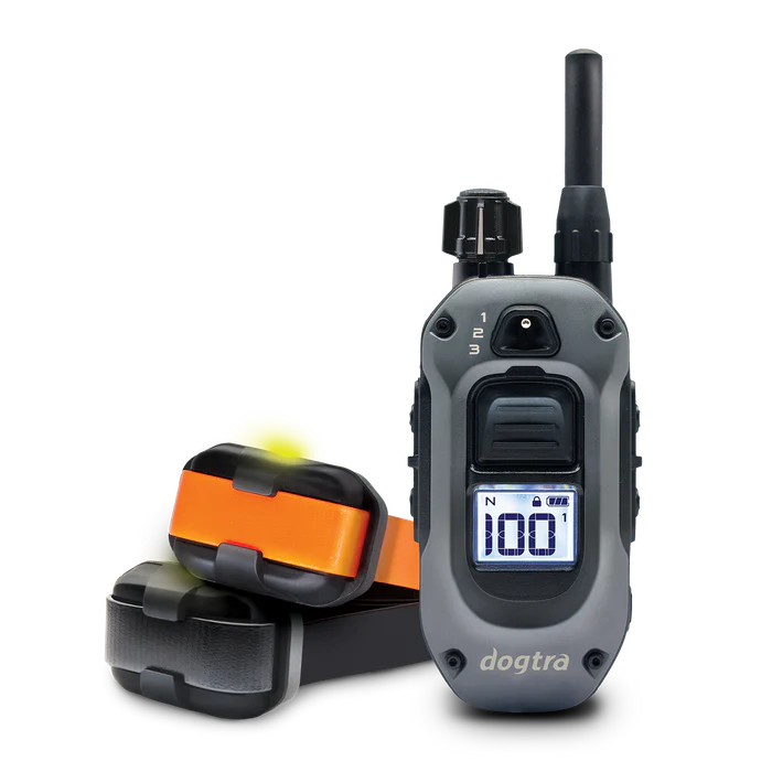 ערכת אילוף אלחוטית זוגית Dogtra 642X – דור חדש עם בוסט, פנס וצפצוף