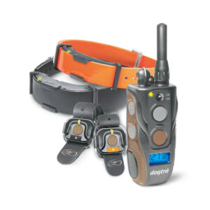 ערכת אילוף Dogtra ARC 802 FREE PLUS – 2 כלבים עם שליטה ללא ידיים