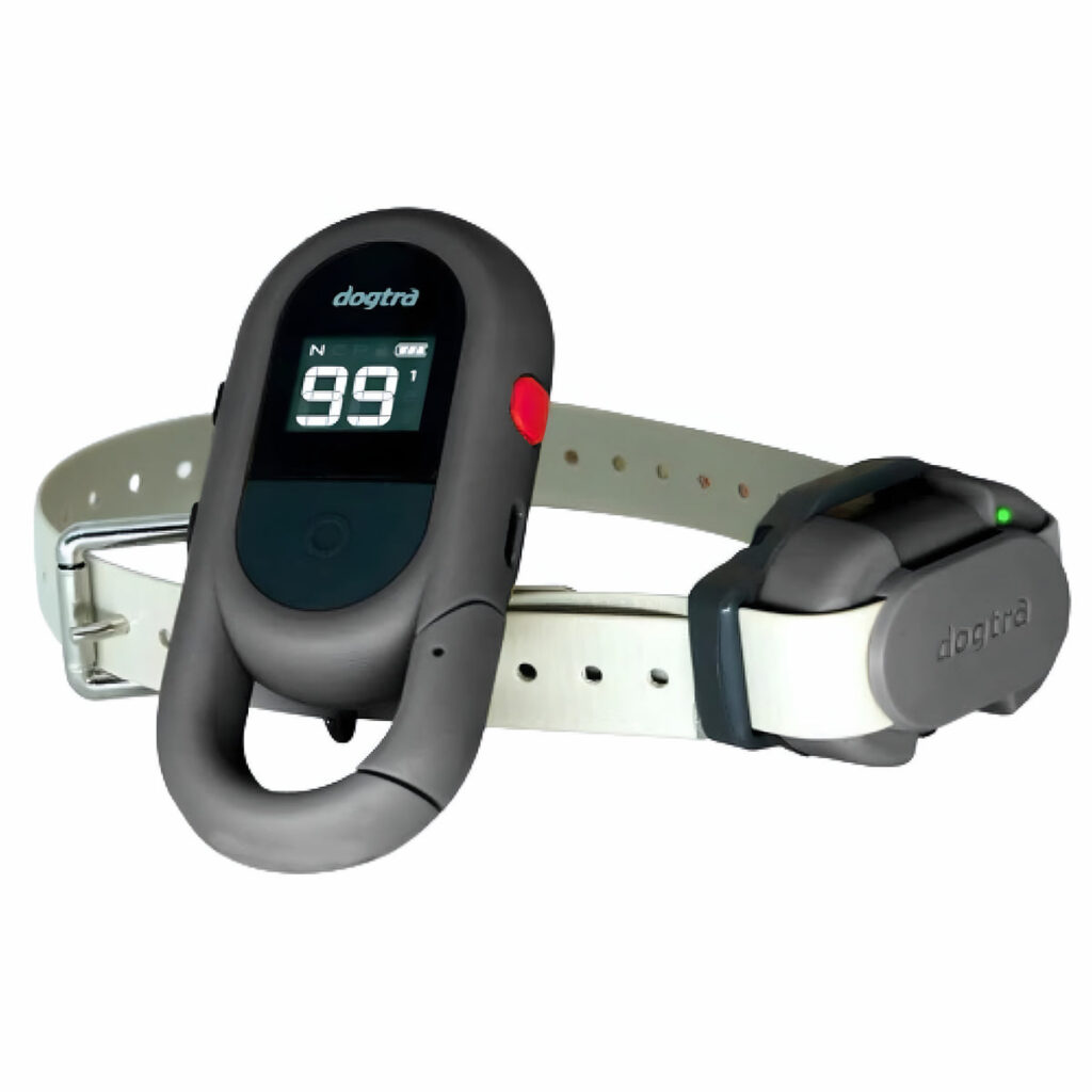 קולר אילוף Dogtra IQ FLEX – פשוט לתפעול עם כפתורים מתוכנתים