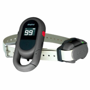 קולר אילוף Dogtra IQ FLEX – פשוט לתפעול עם כפתורים מתוכנתים