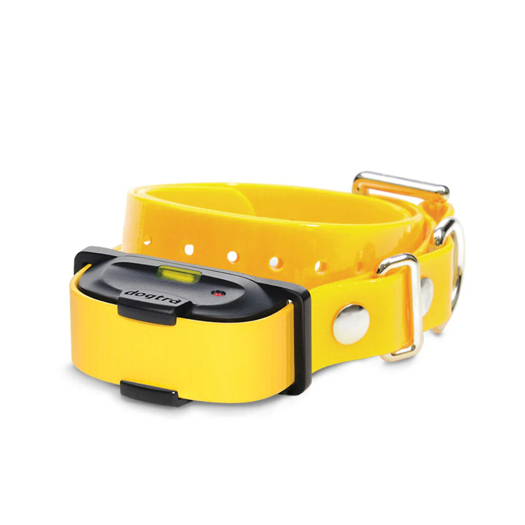 מקלט (קולר) חלופי מקורי למערכת Dogtra IQ Mini