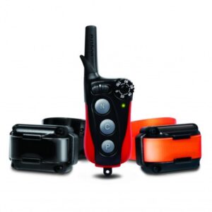 ערכת אילוף Dogtra IQ Plus DOU – 2 כלבים בשלט אחד, טווח 400 מ׳
