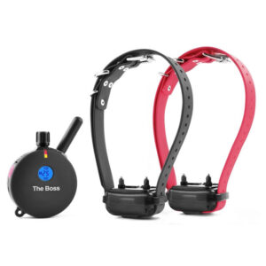 קולר אילוף אלקטרוני E-Collar ET-802 The Boss לשני כלבים גדולים