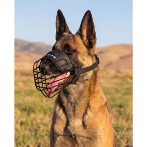 מחסום פה קל משקל ומאוורר לרועה בלגי